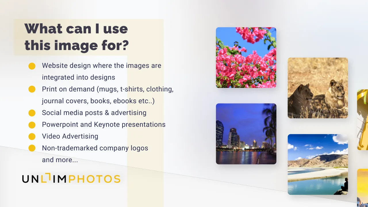 Unlimphotos - screenshot 3
